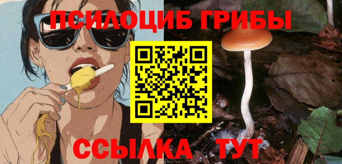 Псилоцибиновые грибы прущие грибы  Вход с VPN  купить наркотик  Нарьян-Мар 