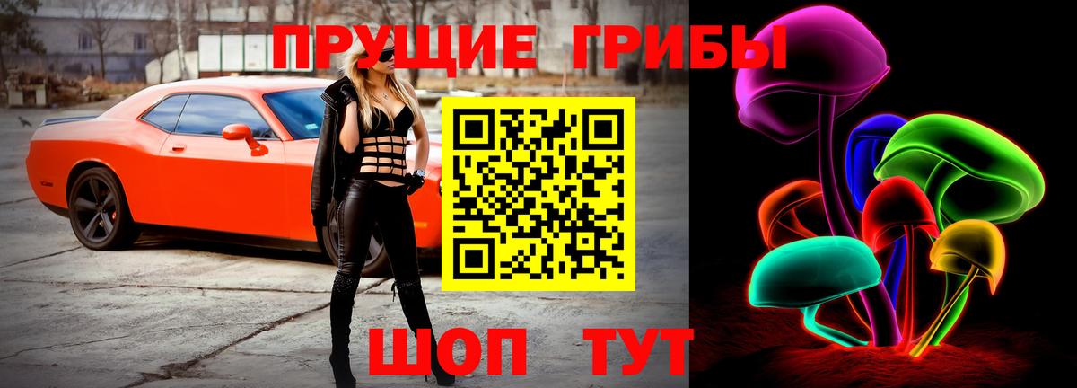 Псилоцибиновые грибы прущие грибы Нарьян-Мар